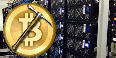 A large-scale Mining Farm