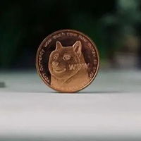 Exploring the opportunities in mining Dogecoin